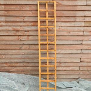 Square Trellis 1.460X260 CodeT38