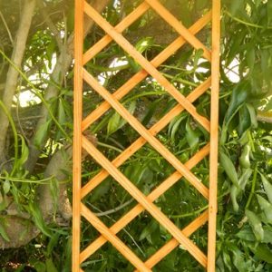 Arch Trellis 1.200X350 CodeAT116