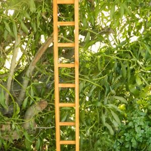 Square Trellis 1.500X140 CodeT48
