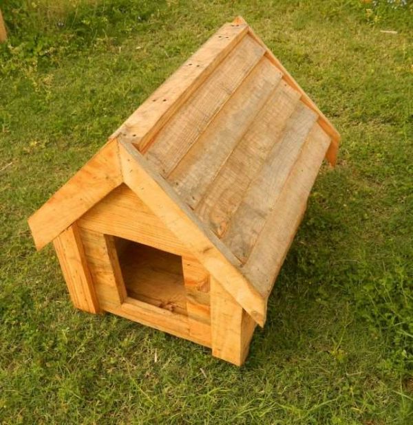 Dog Kennel CodeDK1