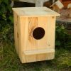 Owl Nesting Box