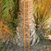 Square Trellis 1.500X140 CodeT77