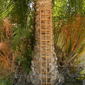 Square Trellis 1.900X260 CodeT54